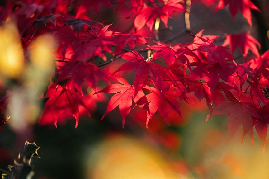 crimson echo vale location