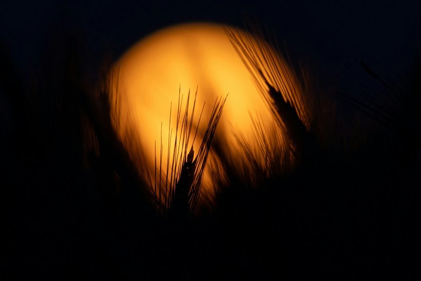 nexus shadow field identifier