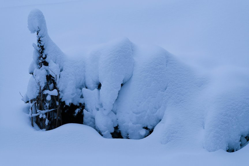 opal haven drift location