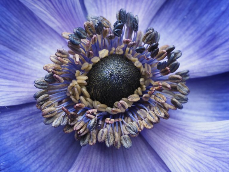 starbloom ledger of whisper