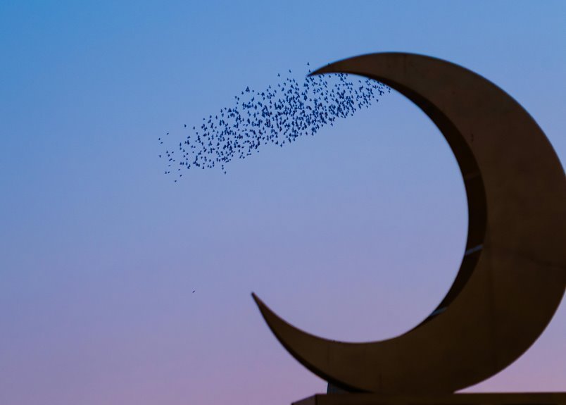 vortex crescent loom model