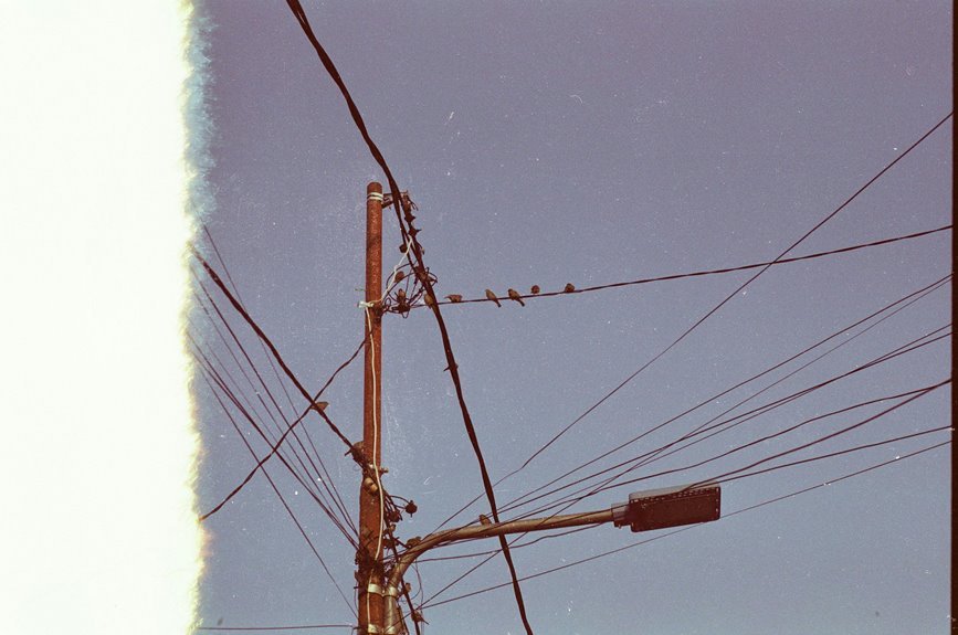 corporate support contact number